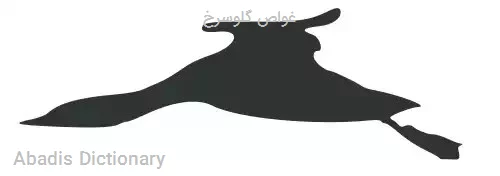 غواص گلوسرخ